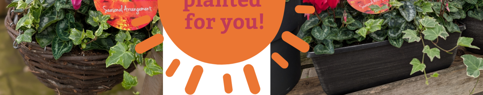 Baskets at the ready! Planted containers without the planting!