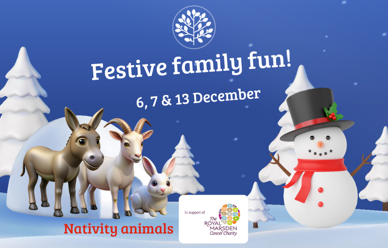 Festive Family Fun 2025