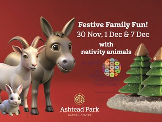 Festive Family Fun Days 2024