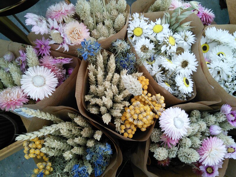 New range - dried flowers for long-lasting loveliness!
