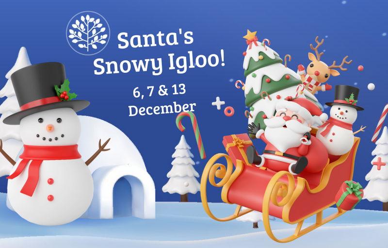 Santa's Snowy Igloo Grotto