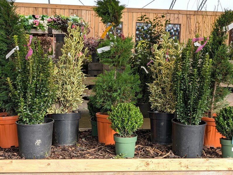 Add structure, edge and shape