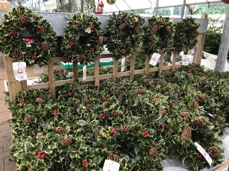 Fresh Christmas Wreaths