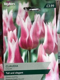 Spring flowering bulbs to plant this autumn